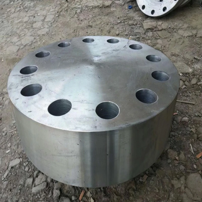Nuclear tube plate flange
