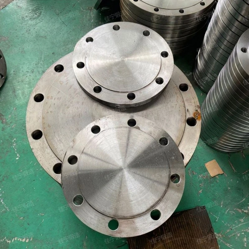 Double hole blind flange