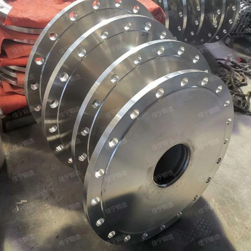 Blind flange of pressure vessel