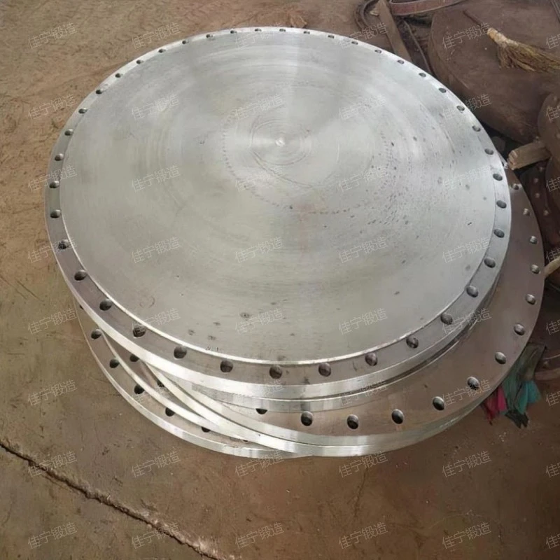 Blind flange of pressure vessel