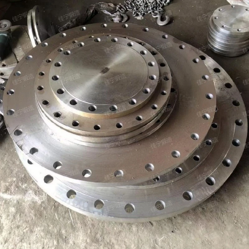 Double hole blind flange