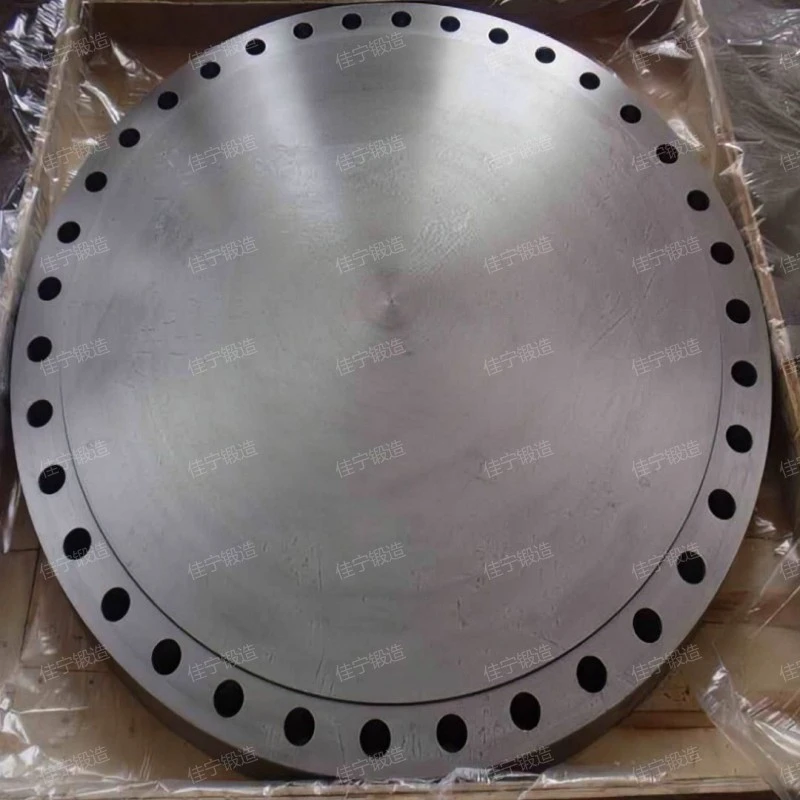 Double hole blind flange