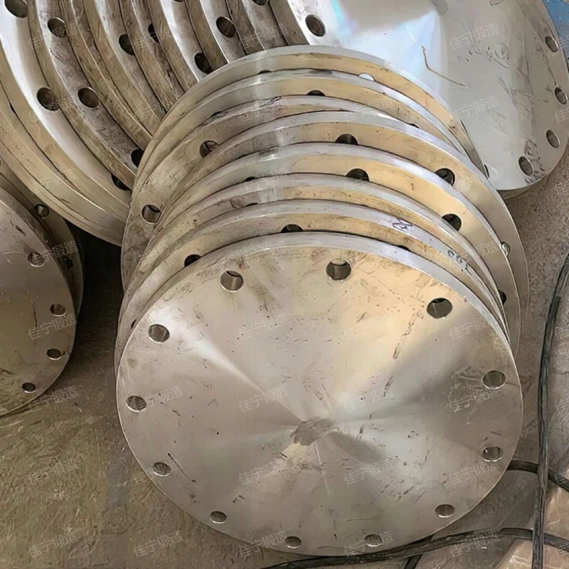 316 blind plate