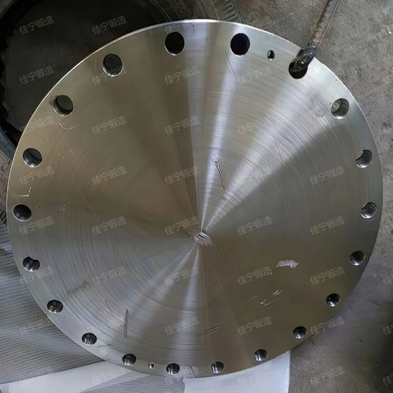 Stainless steel cake forging parts