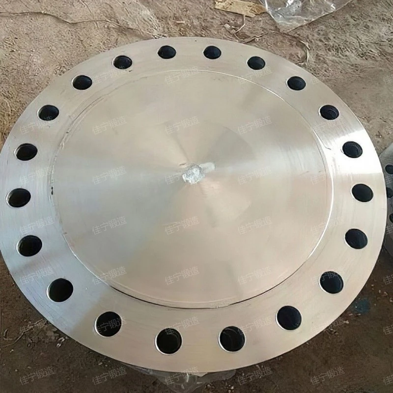 Stainless steel cake forging parts