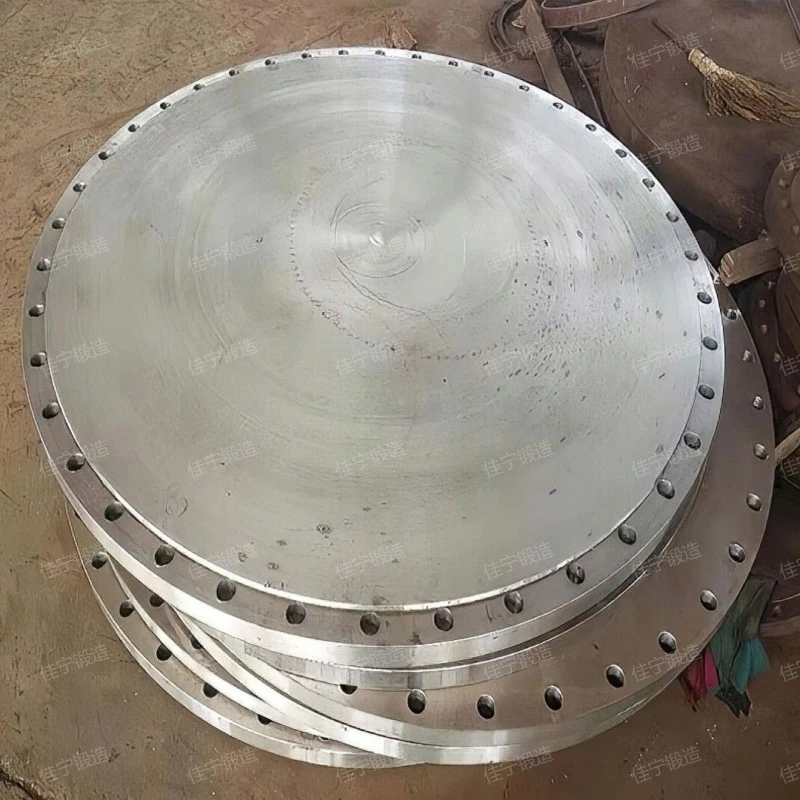 Stainless steel cake forgings