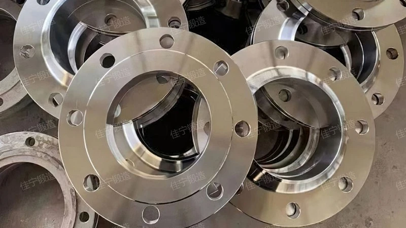 Ordinary carbon steel flange