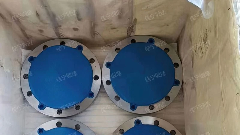 Alloy steel threaded flange cover