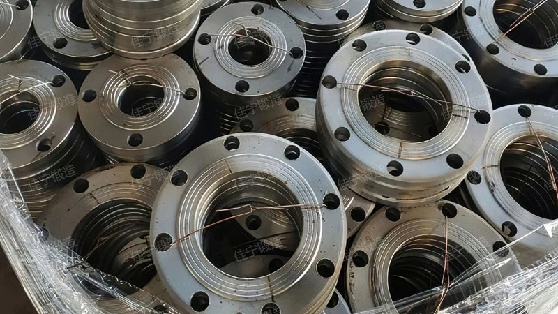 Stainless steel irregular flat welding flange
