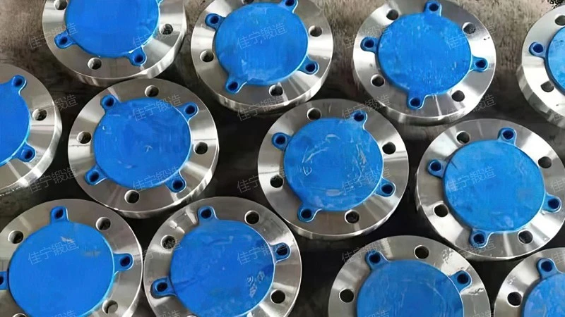 Stainless steel strip diameter flat welding flange cover