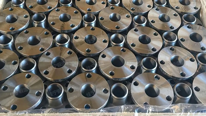 Ordinary carbon steel flange